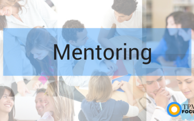 The Stages of Mentoring